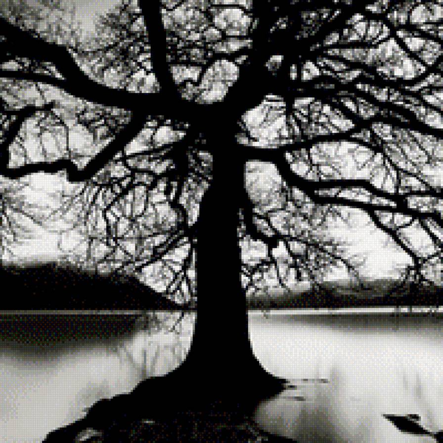 Черное дерево. Дерево черно белое. Темное дерево. Дерево черное белое.