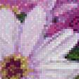 Предпросмотр схемы вышивки «№575946»