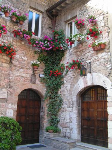 дом с цветами - дом, цветы - оригинал