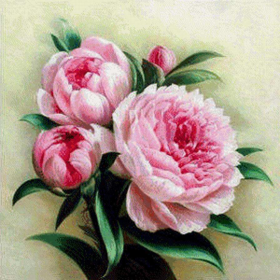 №576037 - цветы - предпросмотр