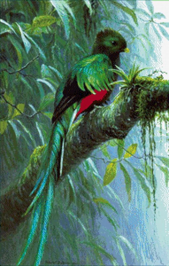 №576049 - птицы, животные - предпросмотр