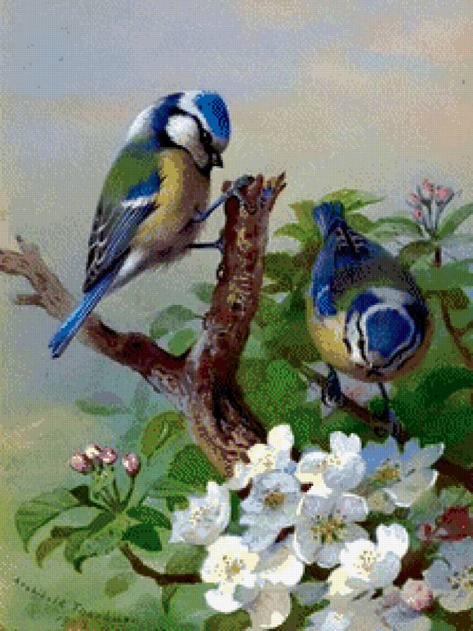 №576053 - животные, птицы - предпросмотр