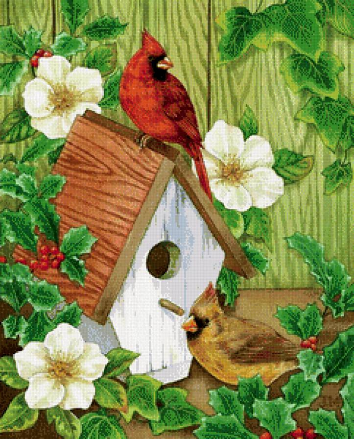 №576060 - животные, птицы - предпросмотр