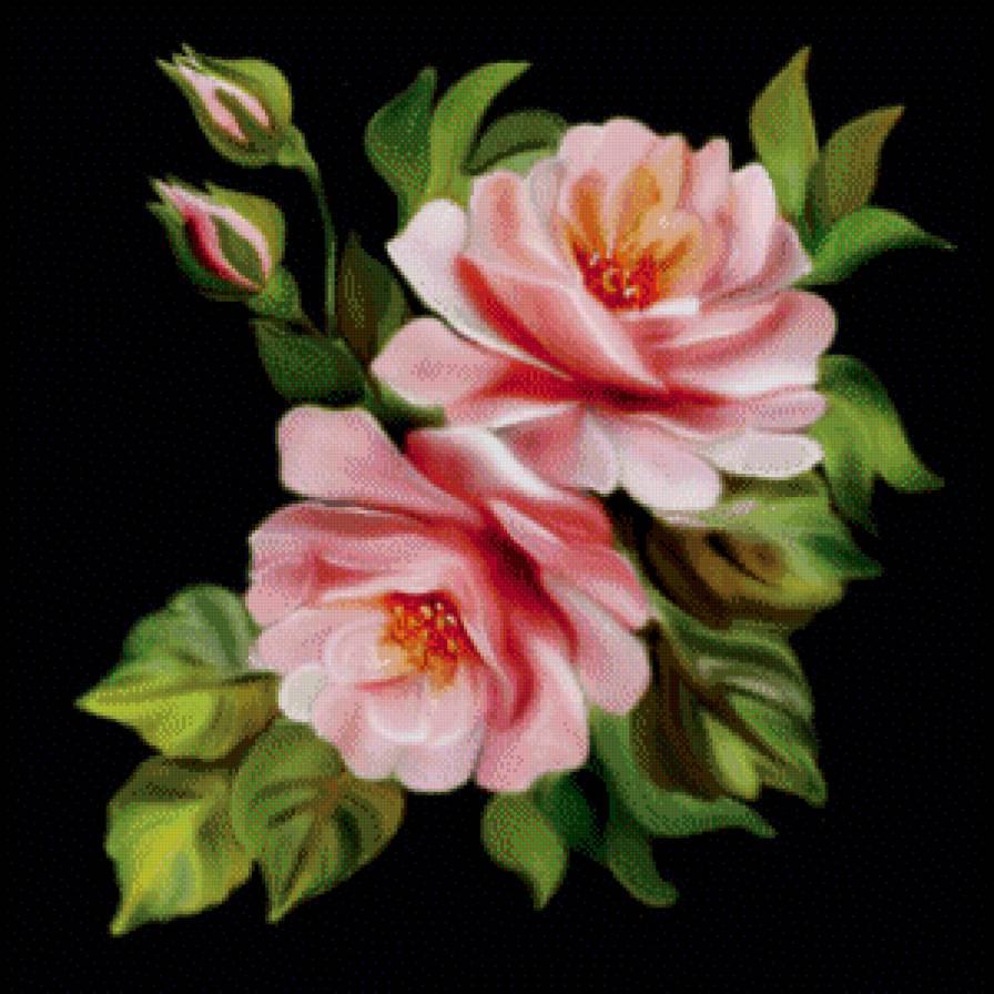 №576065 - розы - предпросмотр