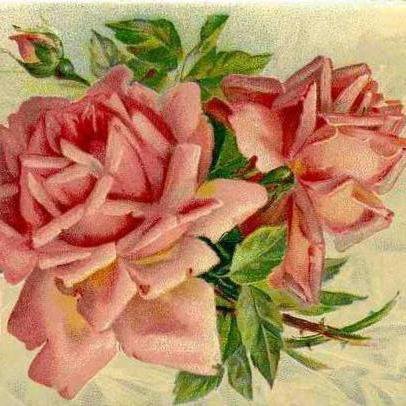 №576151 - розы - оригинал