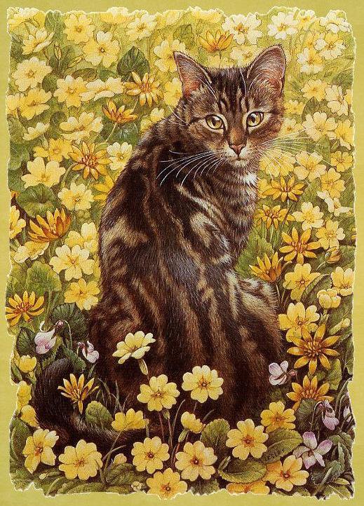 кот - оригинал