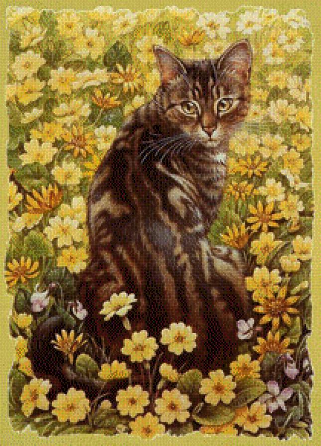 кот - предпросмотр