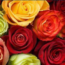 Схема вышивки «букет»