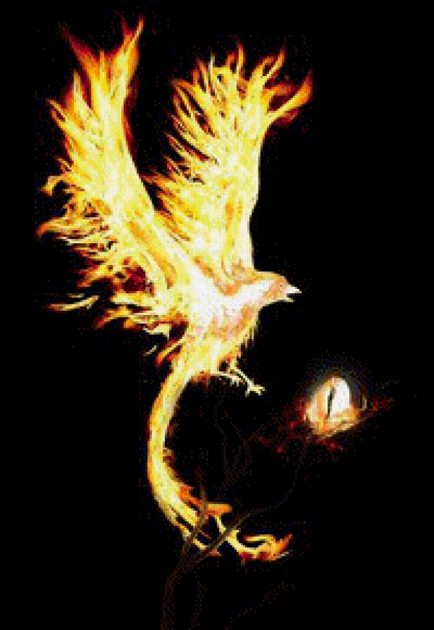 Феникс - предпросмотр