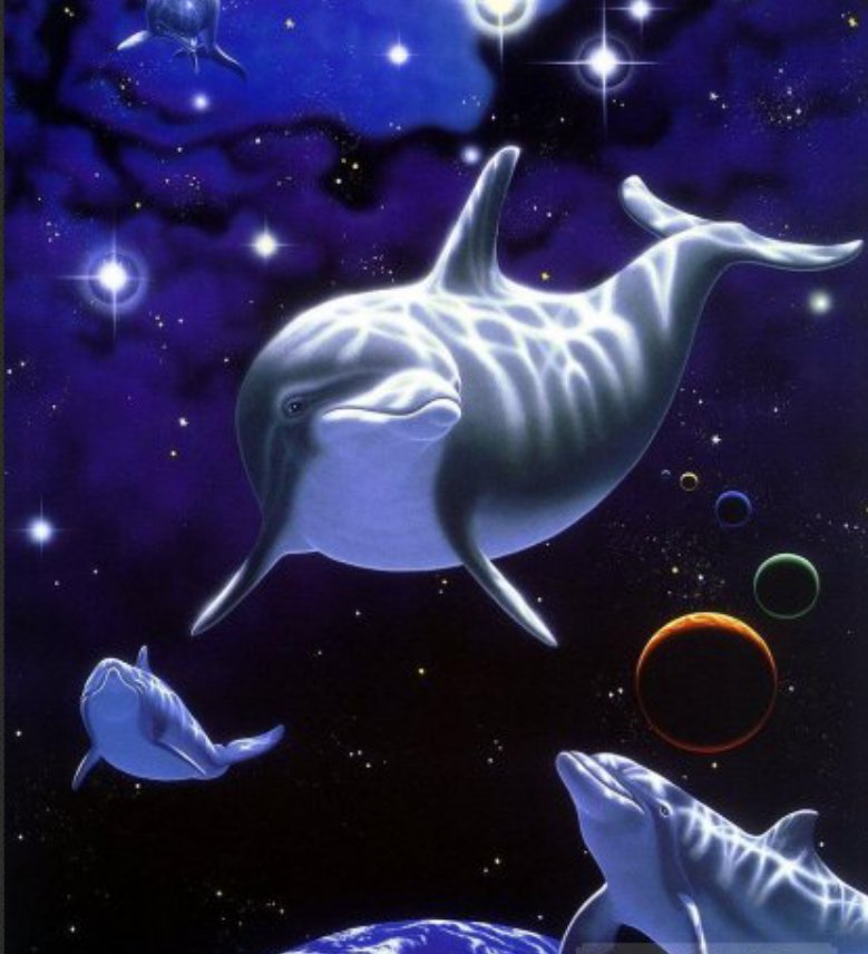 дельфины - океан - оригинал