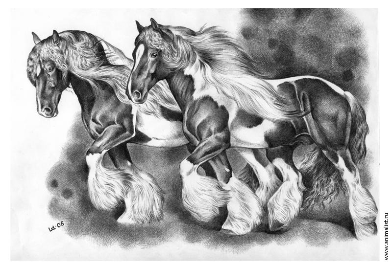 Богатырские кони - животные, лошади, фауна - оригинал