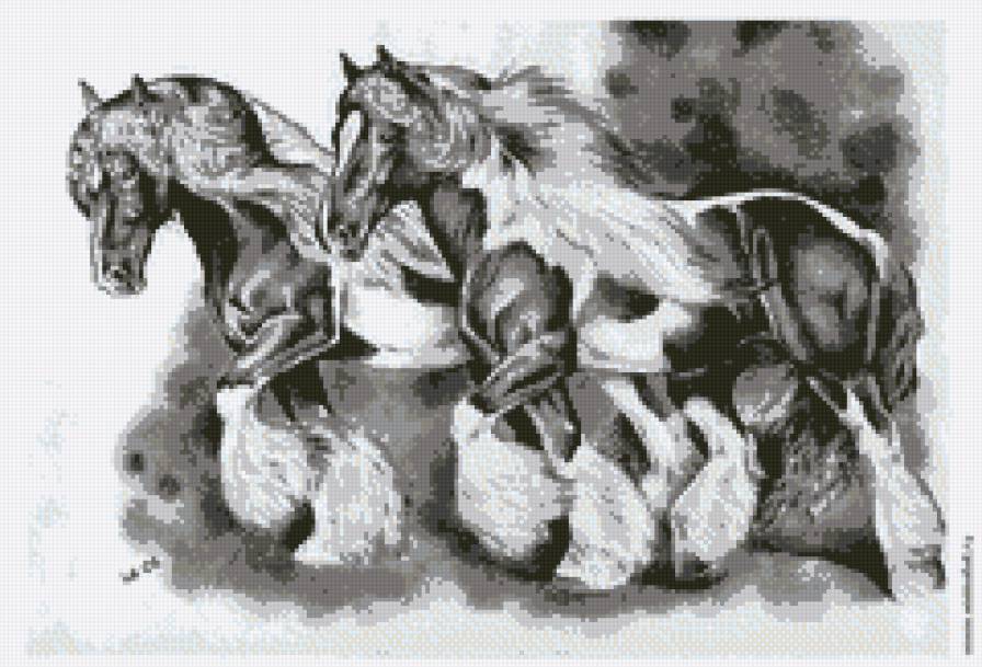 Богатырские кони - фауна, животные, лошади - предпросмотр