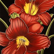 Оригинал схемы вышивки «Красные цветы, лилии» (№576595)