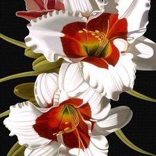 Схема вышивки «Белые цветы, лилии»