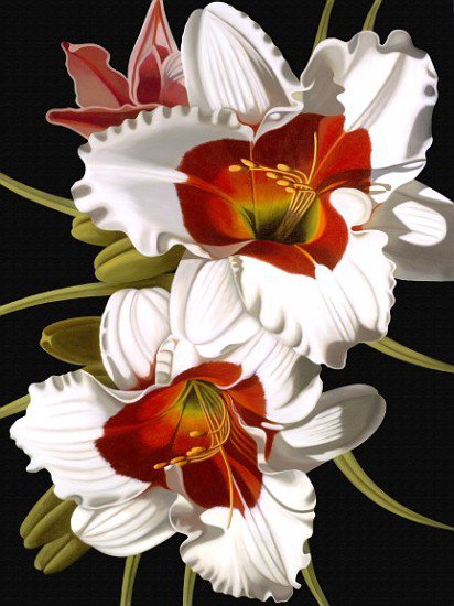 Белые цветы, лилии - природа, лилии, белый цветок, цветы, флора - оригинал