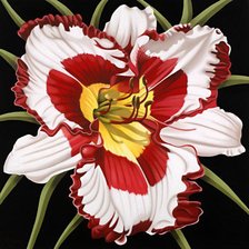Оригинал схемы вышивки «Белый цветок, лилии» (№576599)