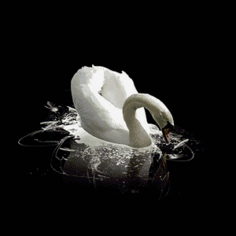 белая лебедь - картина - предпросмотр