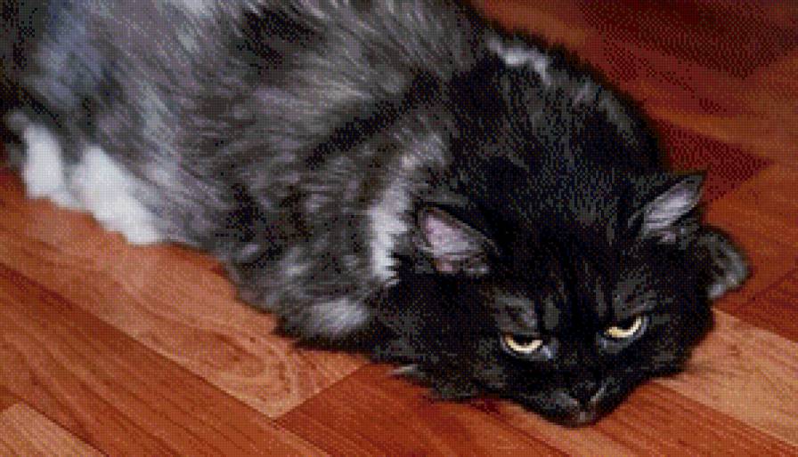 Тетя Муся - муся, кошка - предпросмотр