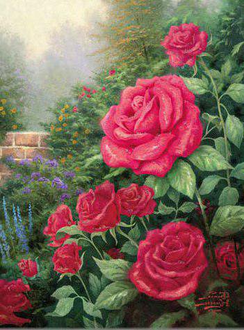 №576676 - розы - оригинал