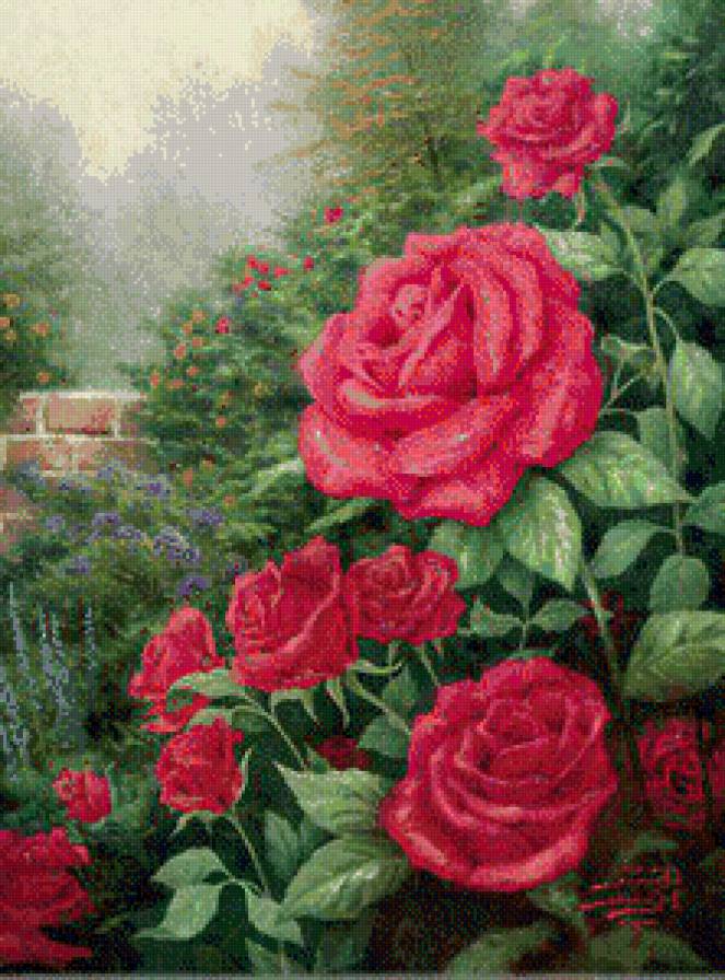 №576676 - розы - предпросмотр