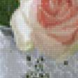 Предпросмотр схемы вышивки «розы» (№576695)