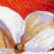 Предпросмотр схемы вышивки «№576717»