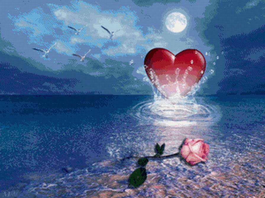 Сердце и роза - любовь, сердце, роза, чайки, море - предпросмотр