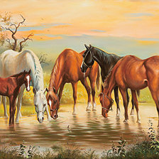 кони у воды