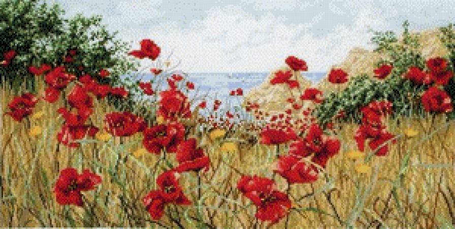 маки - предпросмотр