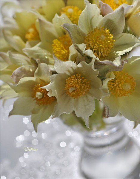 желтый букет - цветы в вазе, букет, цветы - оригинал