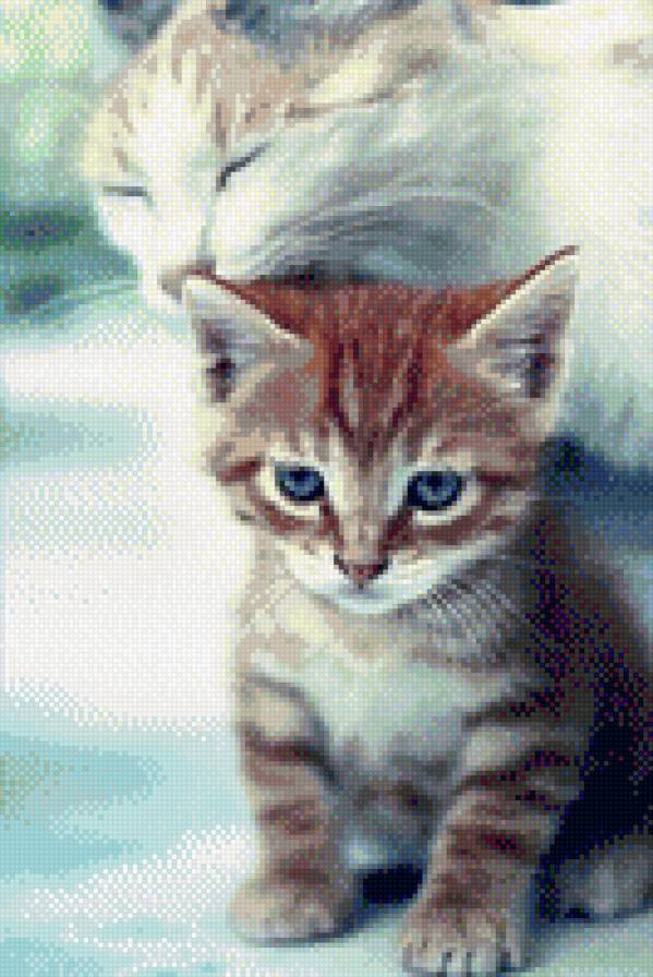 котёнок - животные, кошки, котенок, звери - предпросмотр
