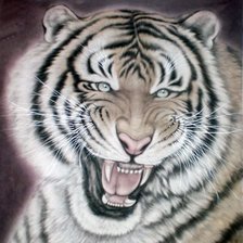 Оригинал схемы вышивки «Тигр» (№577078)