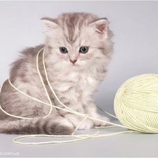 Схема вышивки «20019»