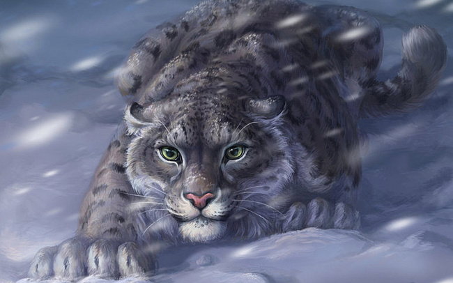 снежный барс - красиво, охотник, барс, кошка, охотница - оригинал