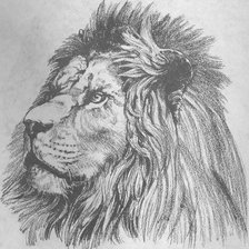 Оригинал схемы вышивки «Царь зверей» (№577394)