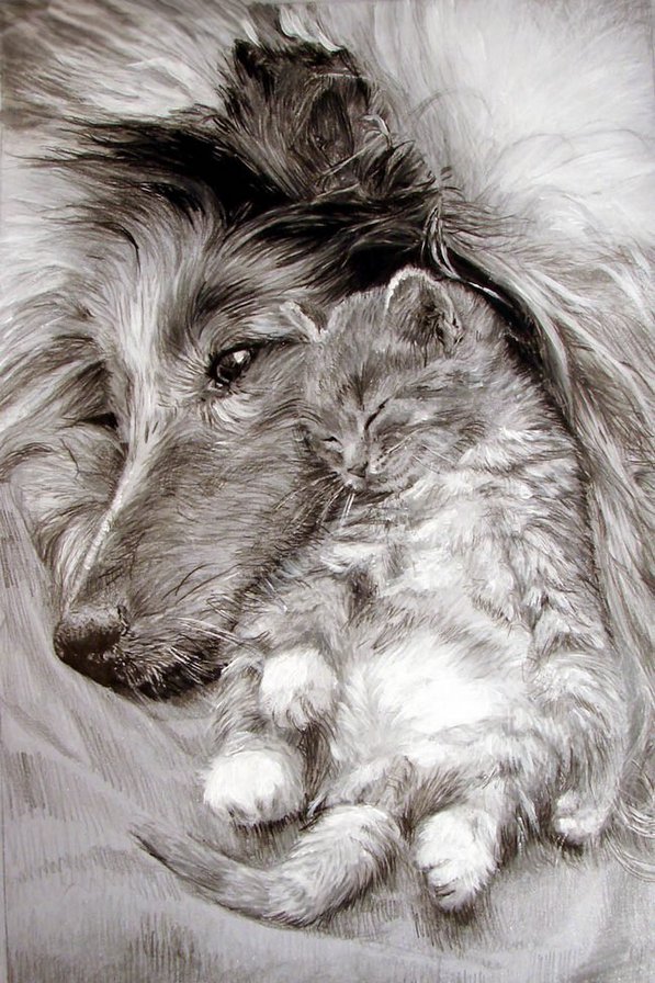 Вторая мама... - сон, монохром, собака, забота, котенок - оригинал