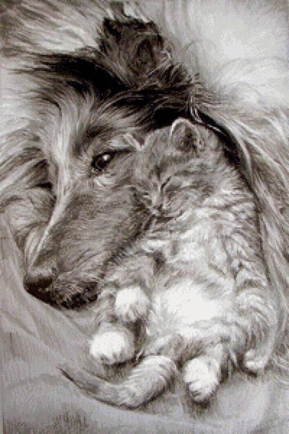 Вторая мама... - монохром, забота, сон, собака, котенок - предпросмотр