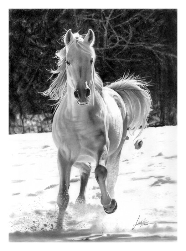 Белая лошадка - лошадь, зима, поле, снег - оригинал
