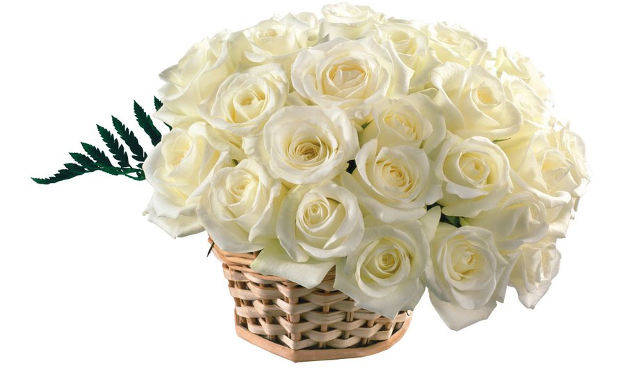 букет белых роз - букет - оригинал
