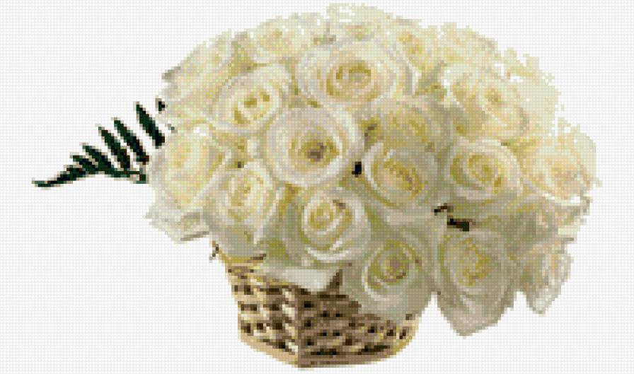 букет белых роз - букет - предпросмотр