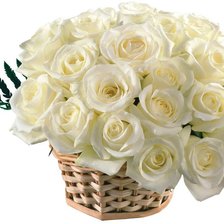 Оригинал схемы вышивки «букет белых роз» (№577436)