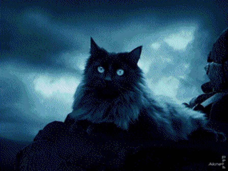 кошка - кот, ночь - предпросмотр