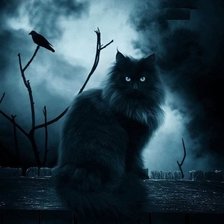 Схема вышивки «кошка»