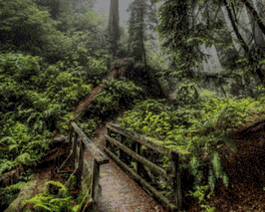 старая дорога - лес, пейзаж, природа, мост - предпросмотр