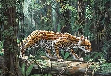 №577608 - животные - оригинал