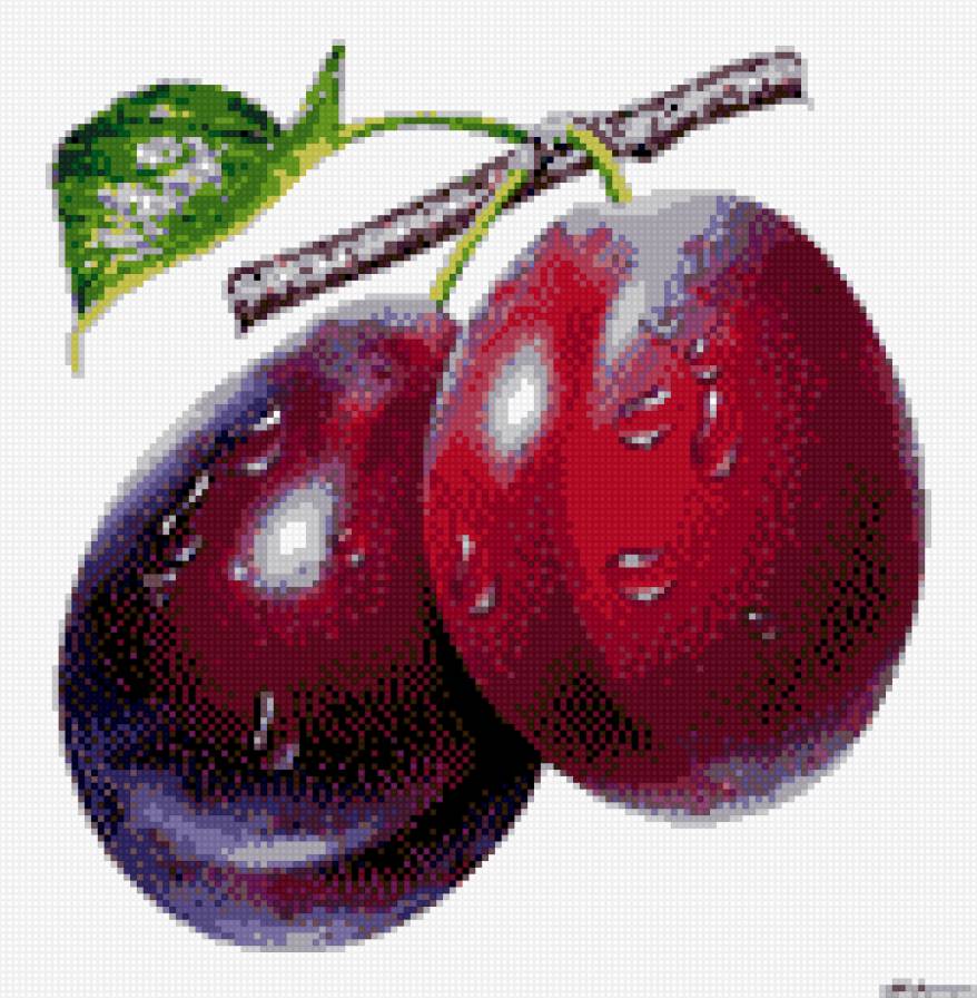 слива - натюрморт, ягода, слива - предпросмотр