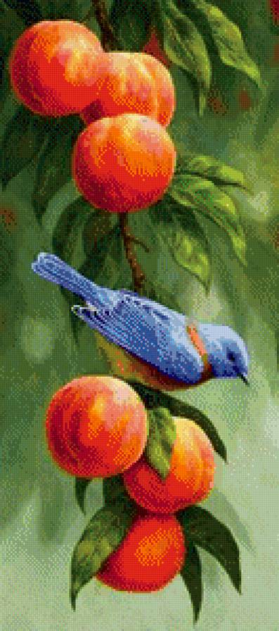 №577632 - предпросмотр