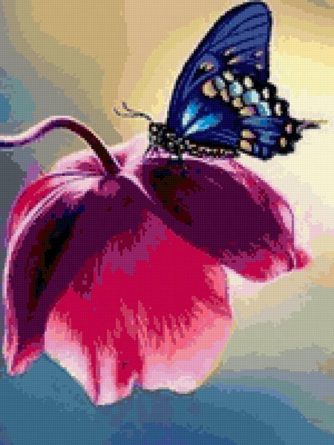 бабочка - насекомые, бабочки - предпросмотр