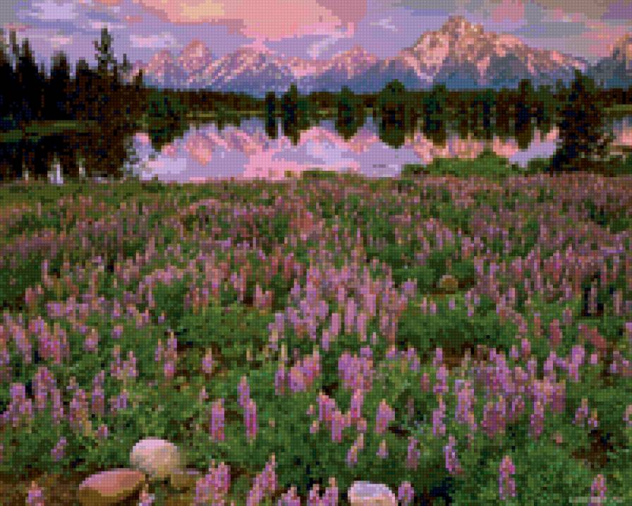 горная лаванда - цветы, пейзажи - предпросмотр