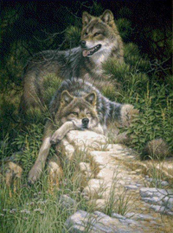 волки - любовь, пара, волки, животные - предпросмотр